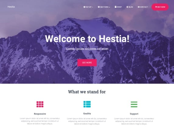 Hestia-best-woocommerce-themes